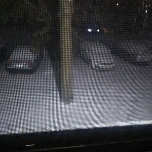 Meet your Posher, Frankie